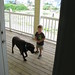 Andrew Calloway Photo 33