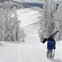 Mark Reich Photo 33