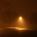 Sandy Peterson Photo 4