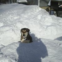 Stacey Manske Photo 4