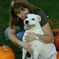 Donna Sherman Photo 16