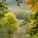 Elizabeth Parks Photo 20