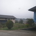 Michelle Cerda Photo 4