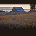 Rita Fields Photo 29