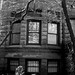 Hal Wiley Photo 10