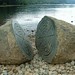 Randall Stone Photo 21