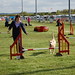 Alison Carpenter Photo 37