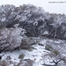 Stephen Knoll Photo 10
