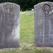 Douglas Samuel Photo 7