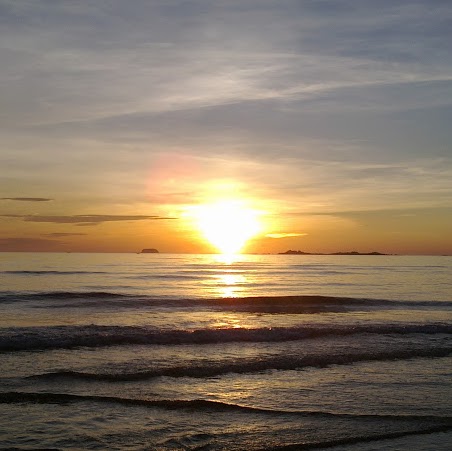 Hong Trinh Photo 10