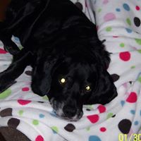 Jennifer Clements Photo 17