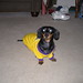 William Rusher Photo 11