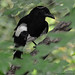 Robin Summers Photo 12