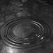 Richard Whitlock Photo 10