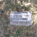 Ann Erickson Photo 19