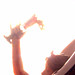 Hsin Ho Photo 6
