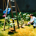 Lisa Roy Photo 17