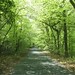 Devon Green Photo 30