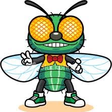 Mark Fly Photo 21