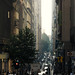 Carl Lane Photo 16