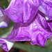 Heather Ebbs Photo 6