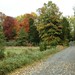 Virginia Moore Photo 15