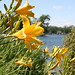 Joann Bloom Photo 3