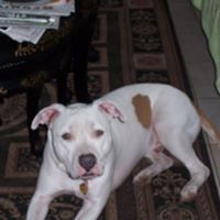 Debra Jordan Photo 38