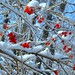 Jacklyn Winters Photo 4