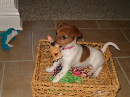 Tracy Patton Photo 8