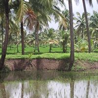 Manoj Mathew Photo 9