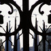Charles Frame Photo 20