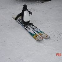 Brandon Hendrix Photo 39