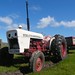 David Browning Photo 27