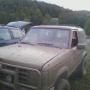 Curtis Boyer Photo 21
