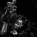 Beverly Scott Photo 15