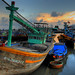 Binh Phan Photo 25