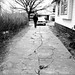 Terry Mcpherson Photo 28