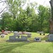 Martha Clements Photo 20