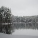 Harold Collins Photo 31