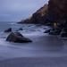 Carl Maxwell Photo 9