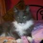 Tonya Hooper Photo 6