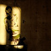 Mark Mcgregor Photo 16
