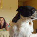 Julie Hampton Photo 11