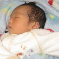 Trinh Phu Photo 7