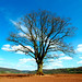 Craig Goodrich Photo 24