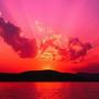 Justin Perkins Photo 31