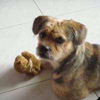 Gary See Photo 6