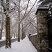 Charlotte Winters Photo 25