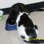 Lisa Stilwell Photo 16